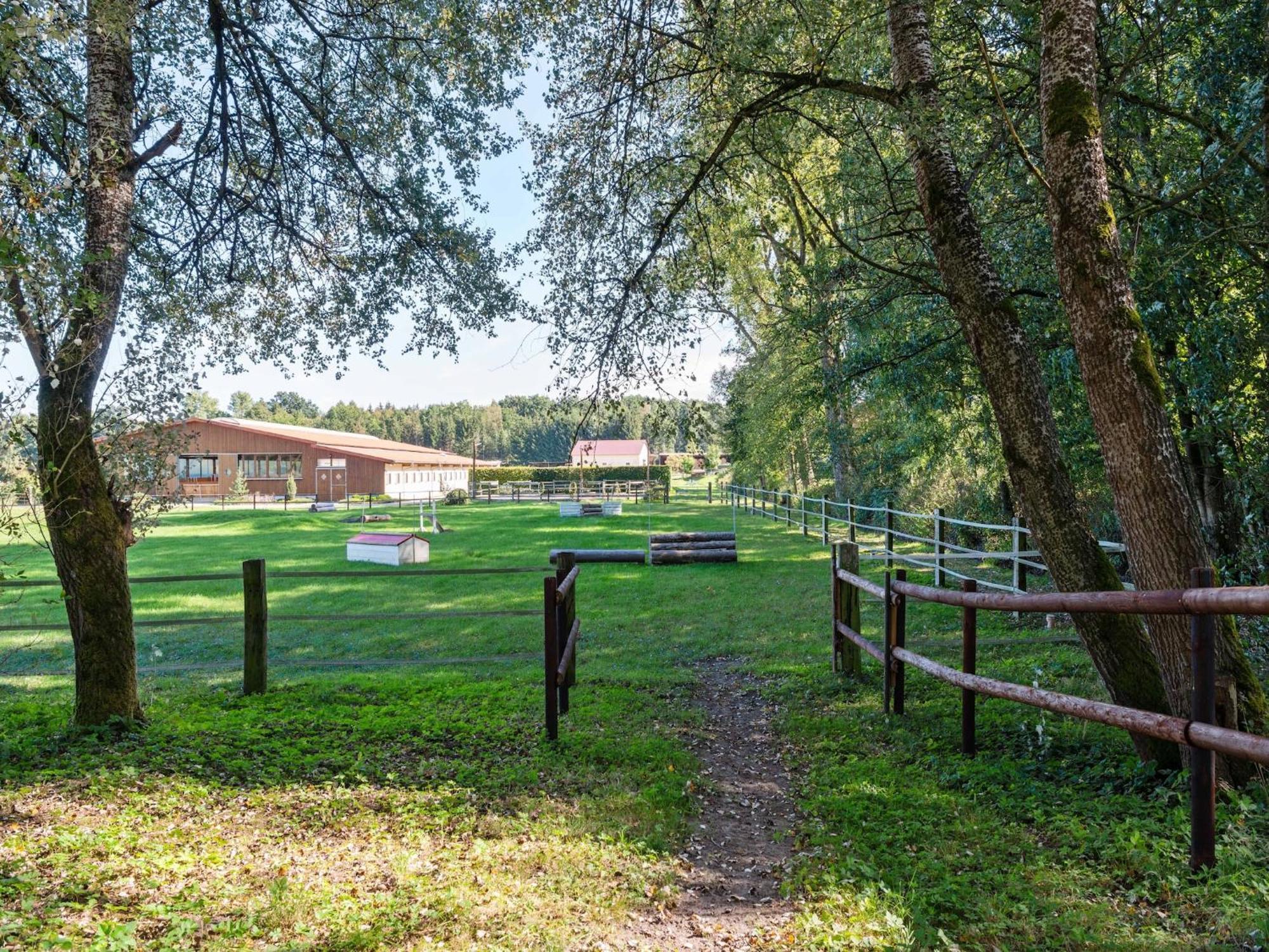 Holiday Home On A Horse Farm In The L Neburg Heath 埃舍德 外观 照片