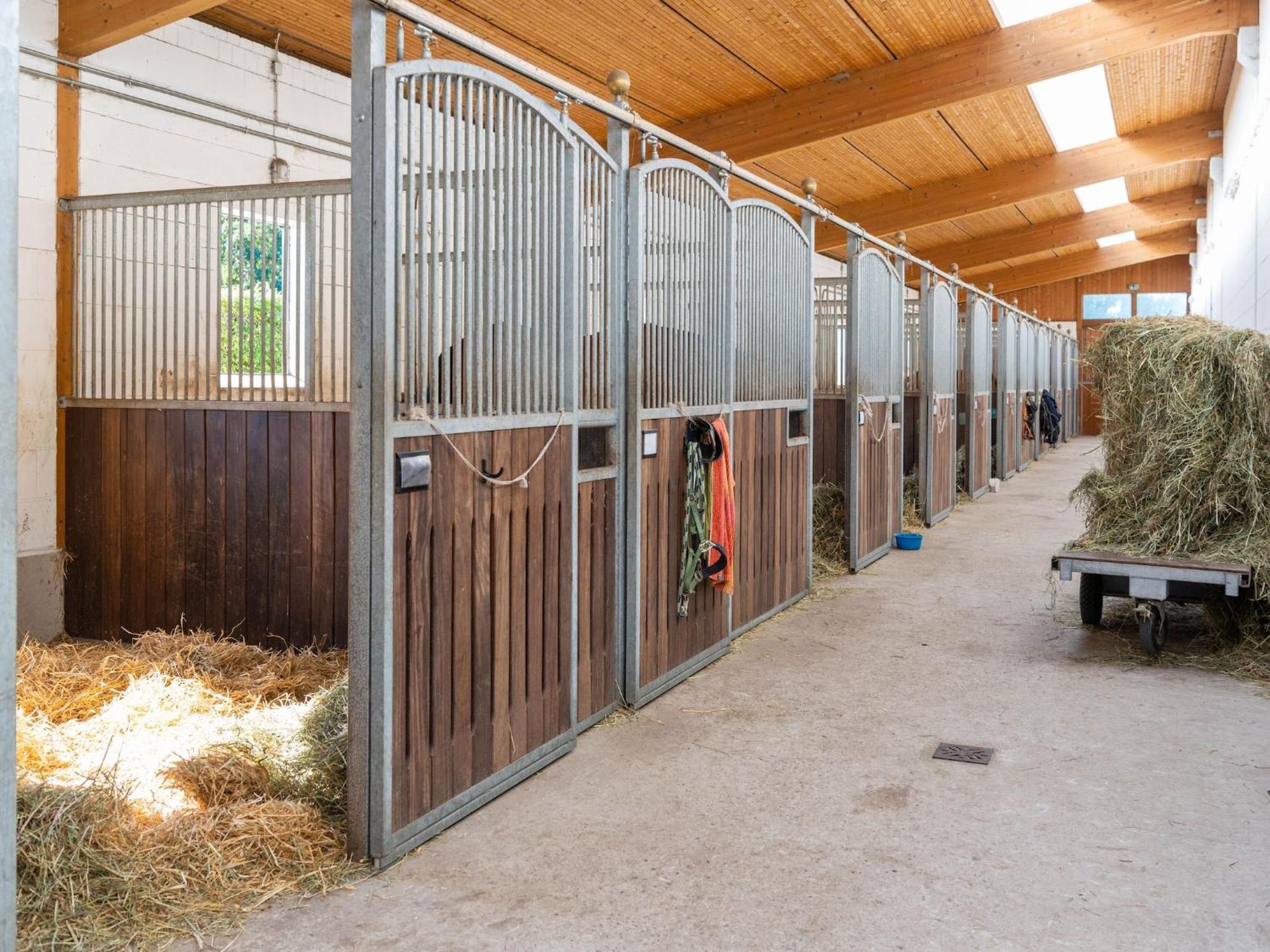 Holiday Home On A Horse Farm In The L Neburg Heath 埃舍德 外观 照片