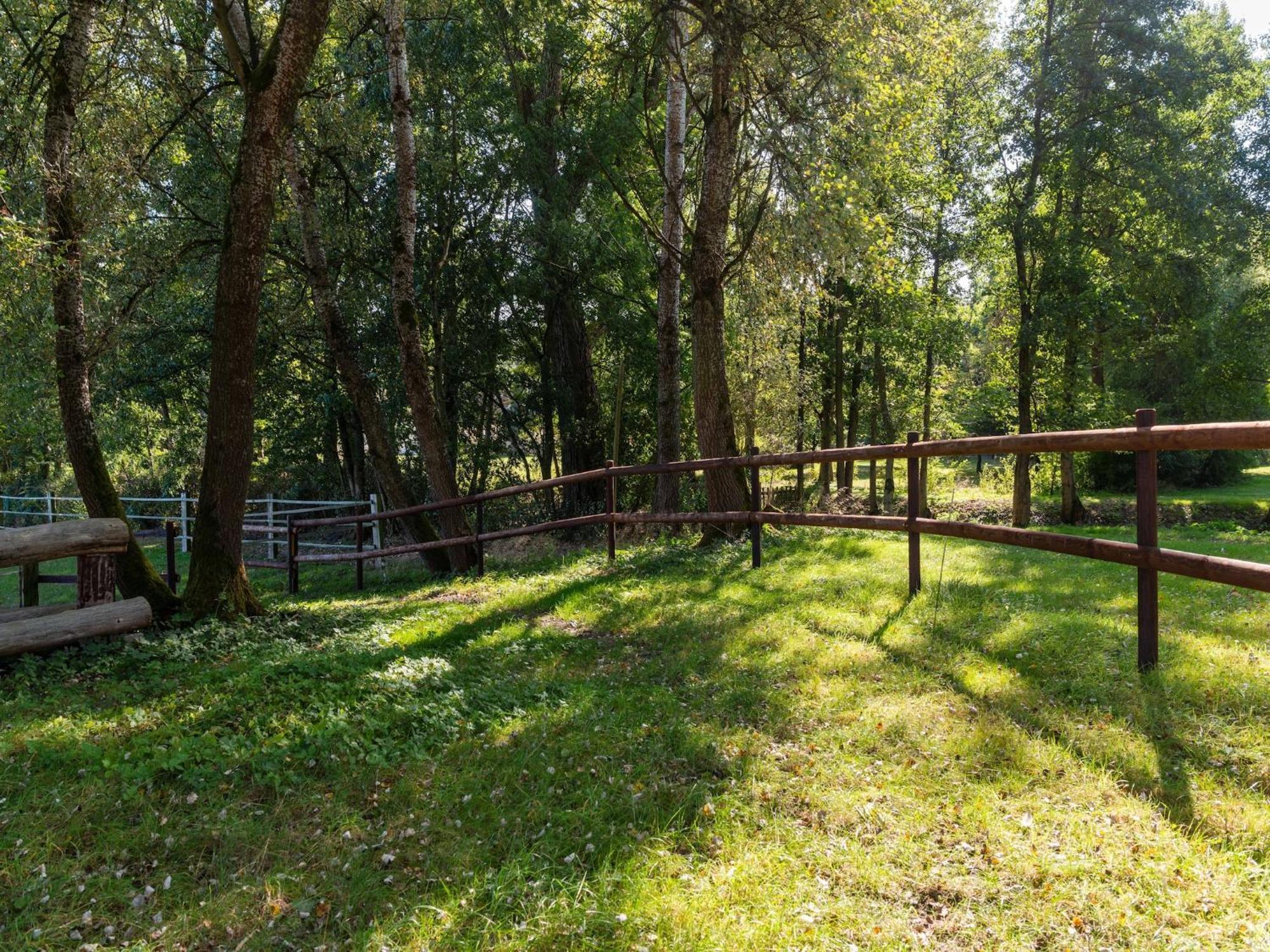 Holiday Home On A Horse Farm In The L Neburg Heath 埃舍德 外观 照片