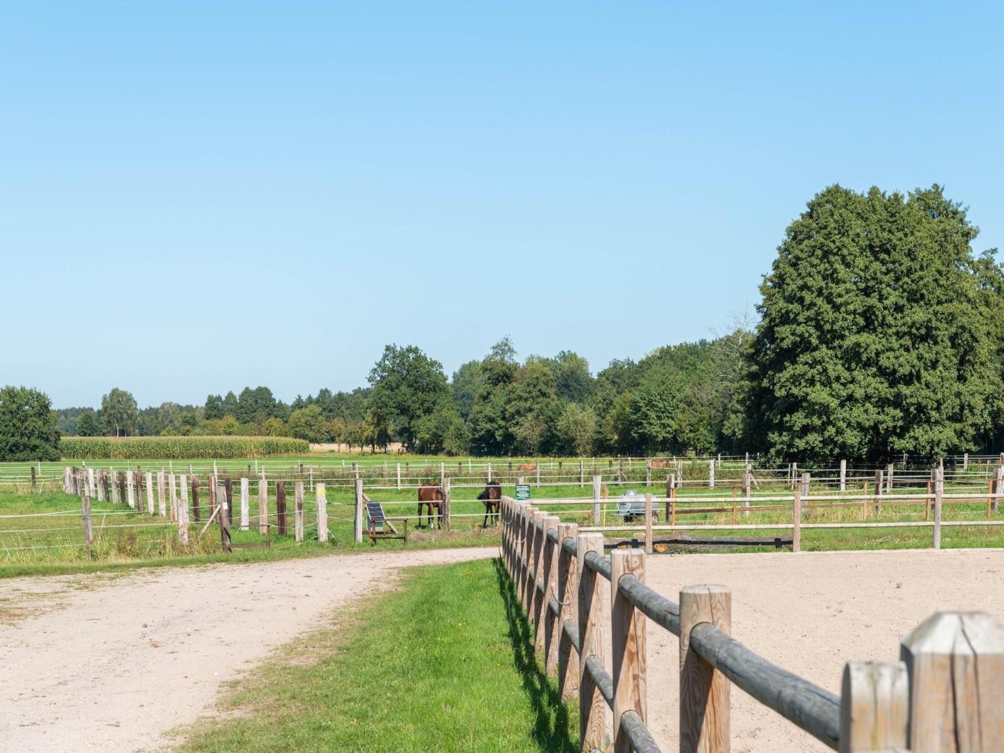 Holiday Home On A Horse Farm In The L Neburg Heath 埃舍德 外观 照片