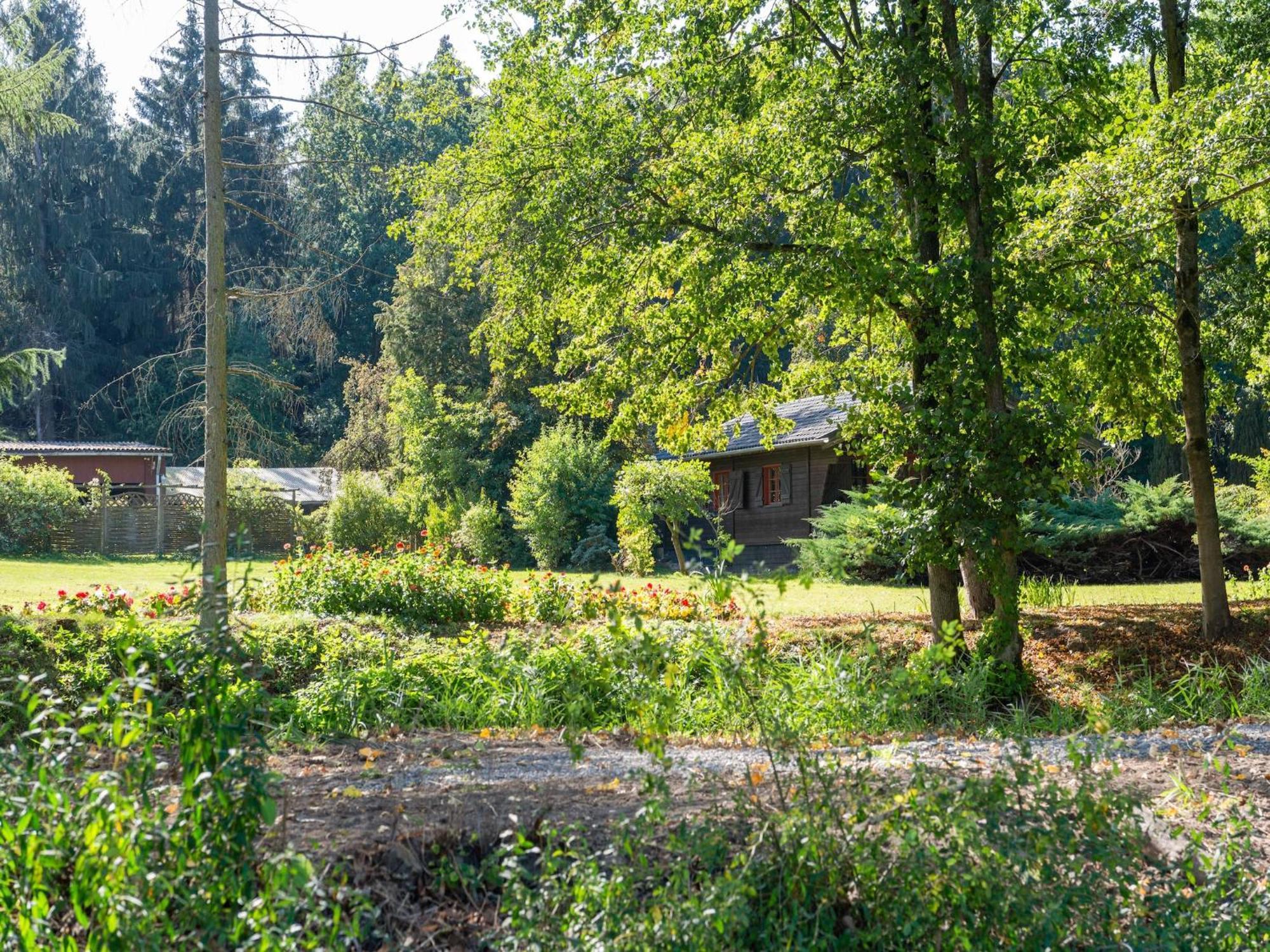 Holiday Home On A Horse Farm In The L Neburg Heath 埃舍德 外观 照片