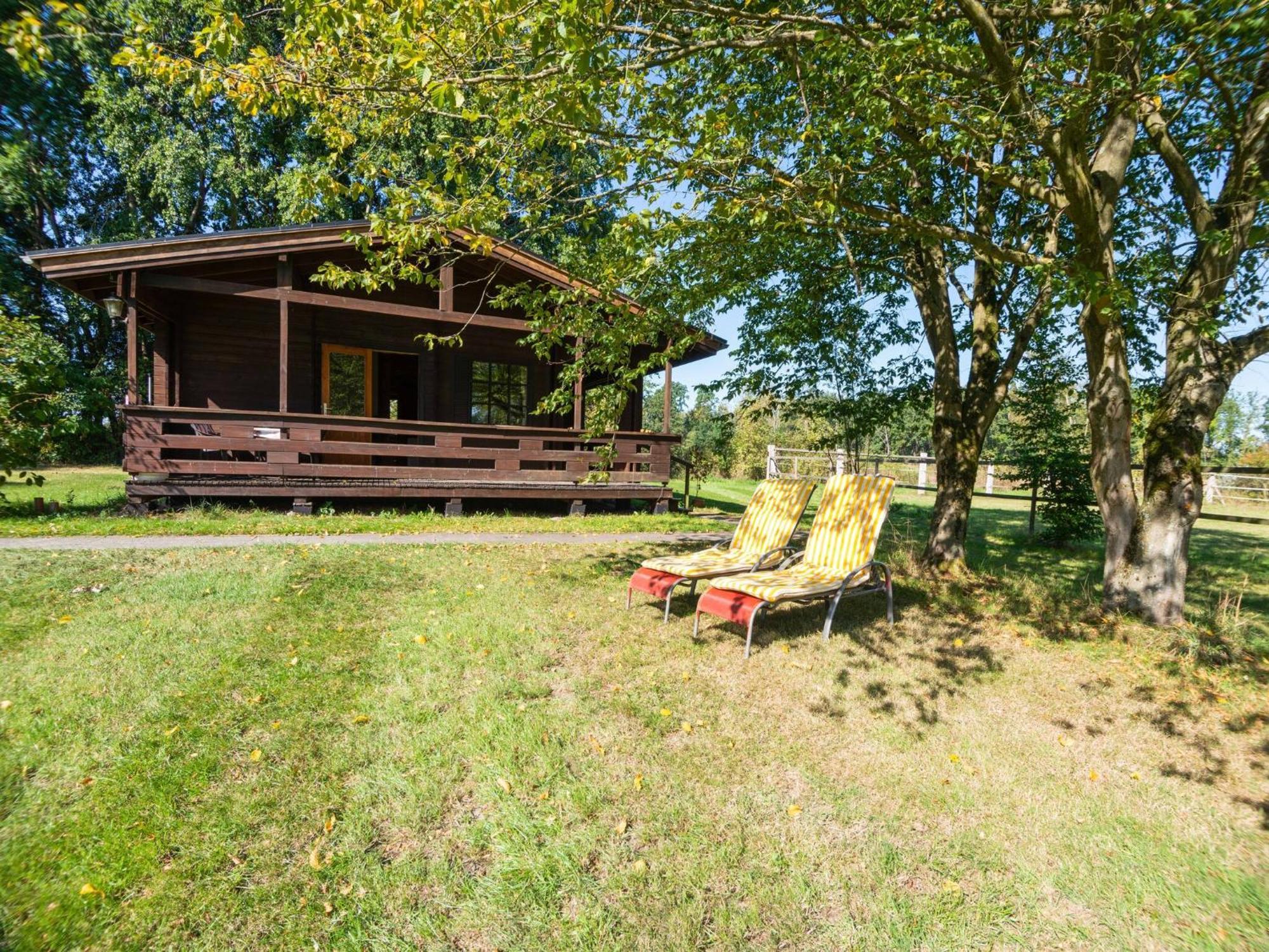 Holiday Home On A Horse Farm In The L Neburg Heath 埃舍德 外观 照片