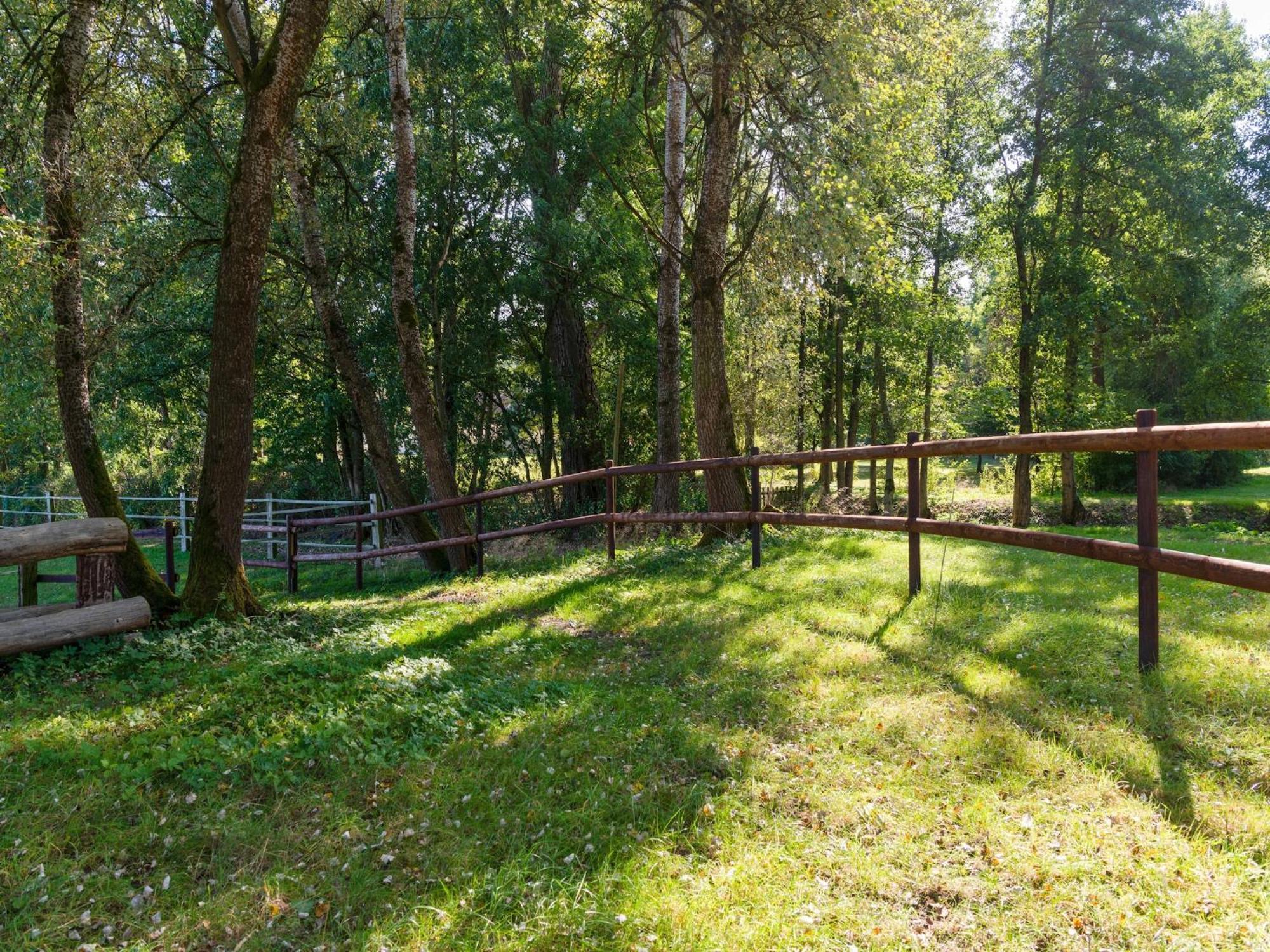 Holiday Home On A Horse Farm In The L Neburg Heath 埃舍德 外观 照片