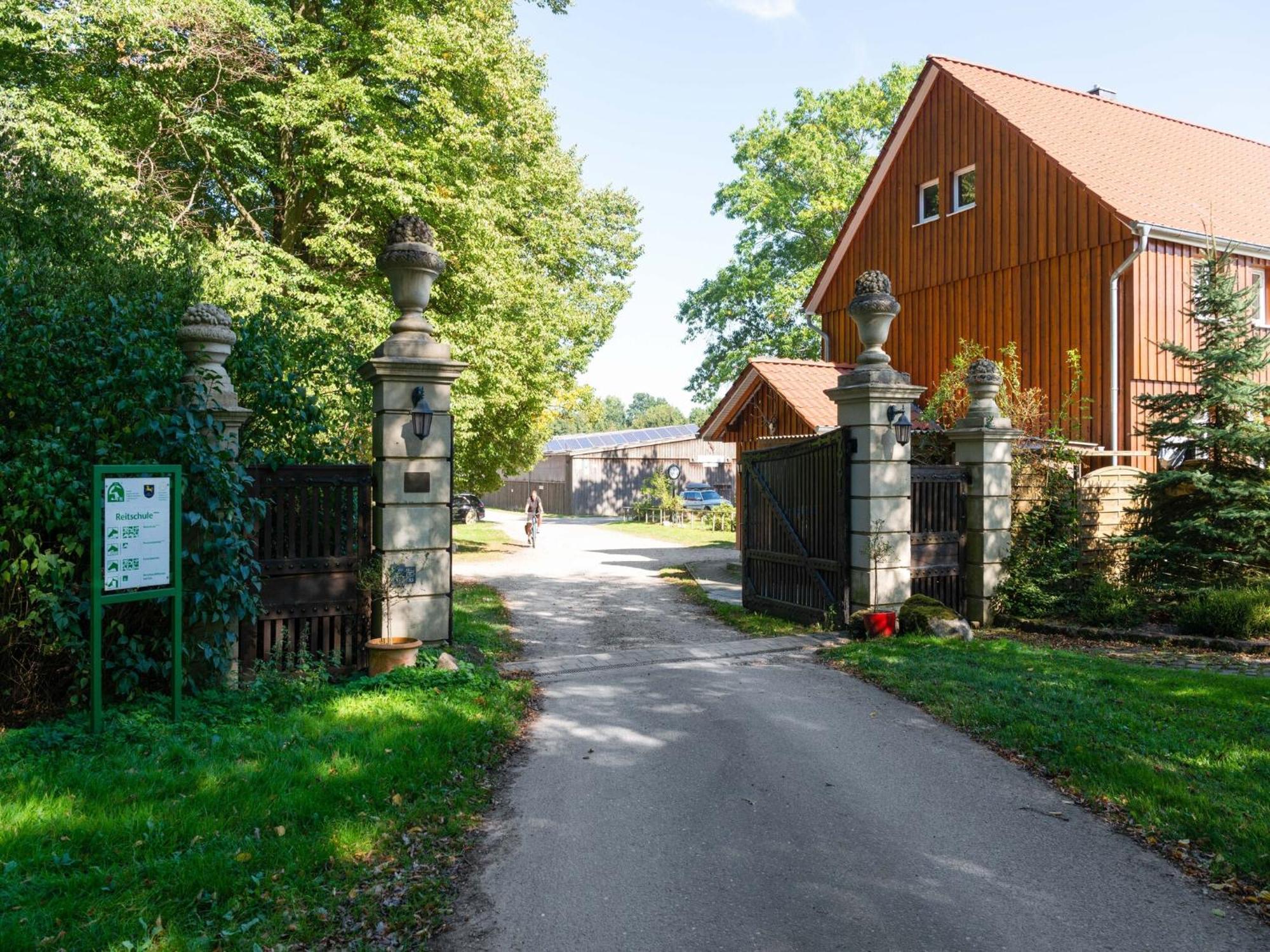 Holiday Home On A Horse Farm In The L Neburg Heath 埃舍德 外观 照片